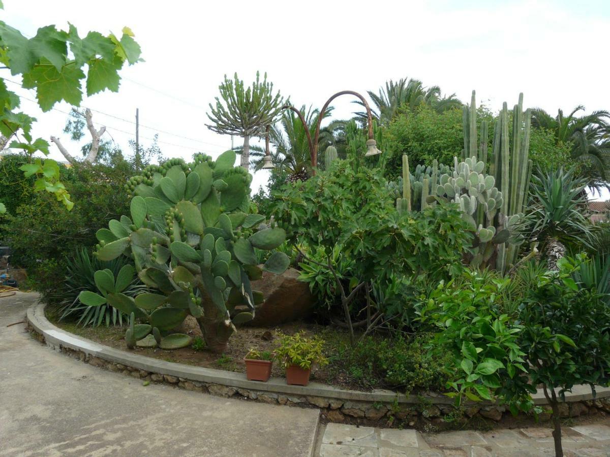 Villa Yucca أفولا المظهر الخارجي الصورة