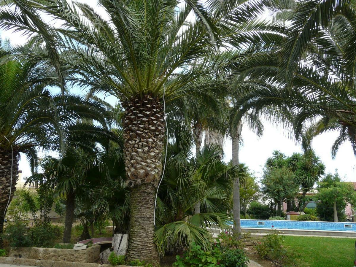 Villa Yucca أفولا المظهر الخارجي الصورة