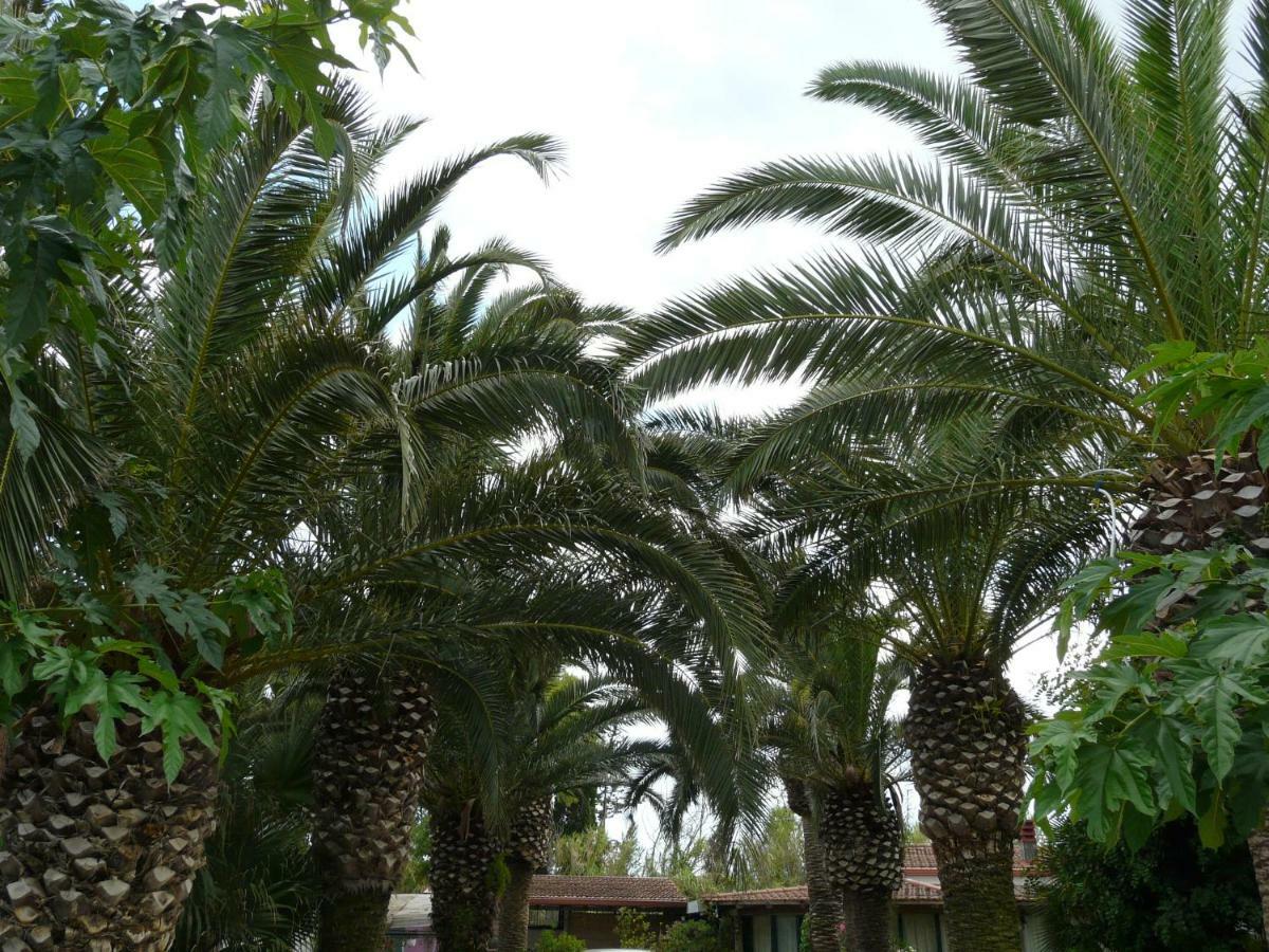 Villa Yucca أفولا المظهر الخارجي الصورة