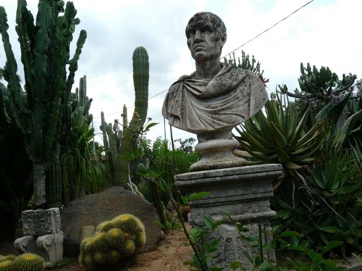 Villa Yucca أفولا المظهر الخارجي الصورة