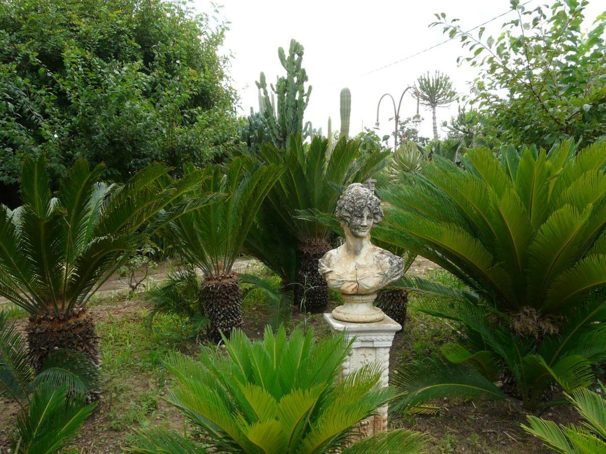 Villa Yucca أفولا المظهر الخارجي الصورة