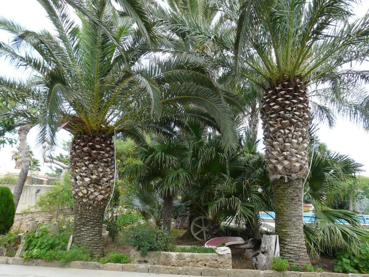 Villa Yucca أفولا المظهر الخارجي الصورة