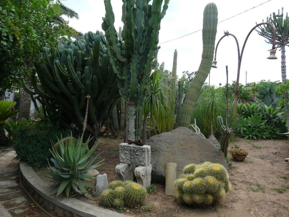 Villa Yucca أفولا المظهر الخارجي الصورة